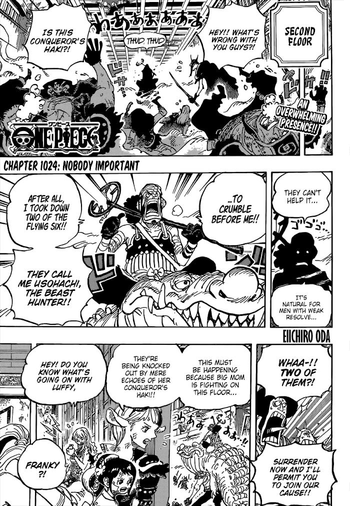 One Piece - episode 1030 - 3