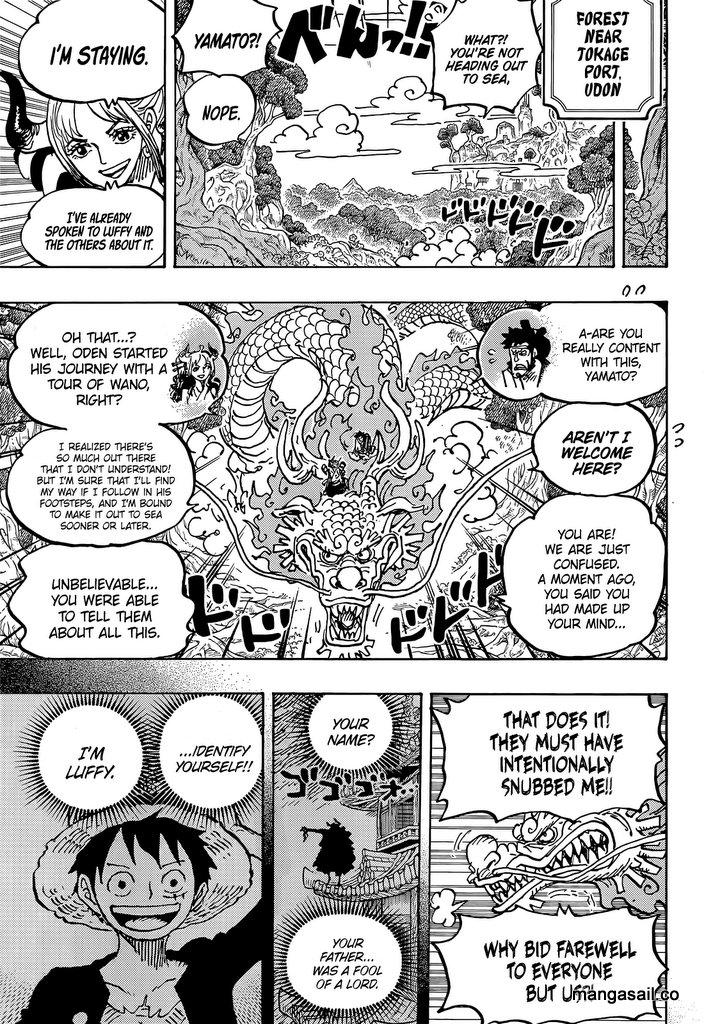 One Piece Vol.96 Ch.1057 Page 13 - Mangago