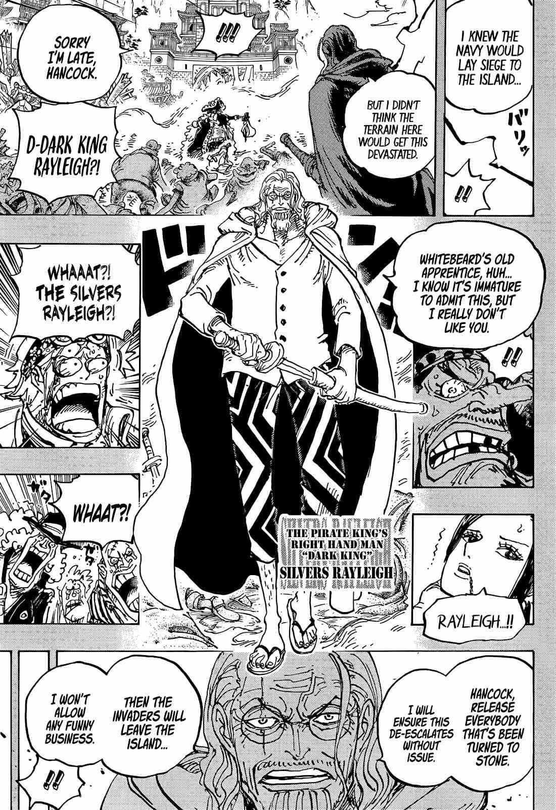 One Piece - episode 1078 - 14